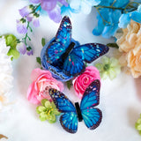 Rainbow Holographic Translucent Butterfly Wings Set