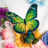 Rainbow Holographic Translucent Butterfly Wings Set