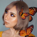 Holographic Translucent Butterfly Wings