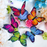 Holographic Translucent Butterfly Wings